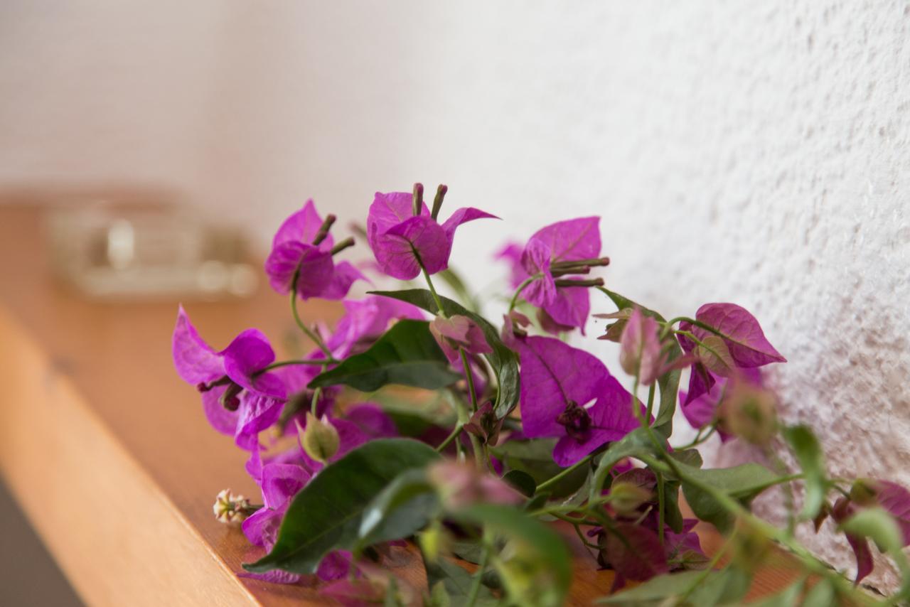 Moraira Holiday Villa Eksteriør billede